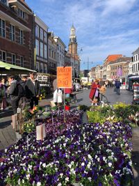 Markt in Zutphen